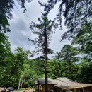 평창 오대산 사고 이미지