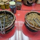 모범약초