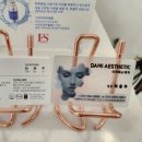 다미에스테틱 이미지