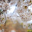 다사공원 이미지