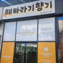 스카이손세차 이미지