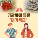 새순농장 | 감기, 기관지에 좋은차 &#39;마가목즙&#39; (농장직영, 저렴하게 판매)