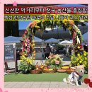 시장할인마트 | 뚝섬한강공원 2026 농부의 시장 바로마켓 오픈첫날 구매후기 농산물 종류 일정 총정리