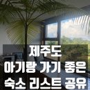 라라피포 제주 | 제주도 아기랑 가기 좋은 숙소 리스트 공유