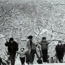 그때,그겨울 Daum카페
