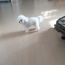 수려한H