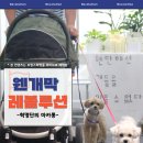 웬만해선 개들을 막을 수 없다 이미지