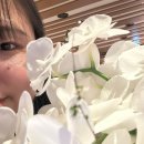 블루밍 플라워 앤 가든 이미지