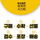 경북슈퍼 | 가성비 최고! 경북 성주 못난이 참외 솔직 후기🍈 — 제철 과일 고민 끝!