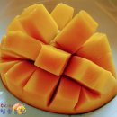 청송농원 이미지