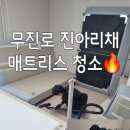 진아리채세탁 이미지