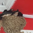 주식회사 지키미 이미지