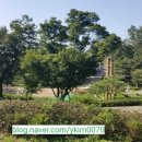 임학공원 출렁다리 이미지