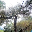 구천리