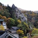 단풍 - 관악구 신림동길 25 | 단풍