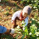 건희농장 이미지