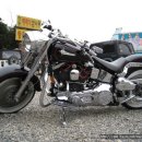 오마이펫 이미지