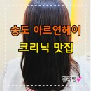 아르연헤어 | 송도8공구미용실 아르연헤어 헤어크리닉