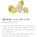 분당제일여성병원 이미지