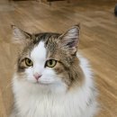 집사의 하루 일산점 이미지