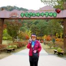 의암 스카이워크 이미지