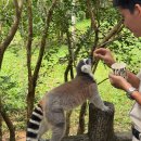 한국1차 그랜드 쇼핑 앞 | 🏝️푸꾸옥 가족여행 완전정복 — 아이랑 즐긴 그랜드월드 &amp; 빈펄 사파리 VIP 투어 후기🐅🦒🦓🐒