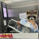 정이든집 이미지