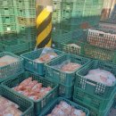 장수 유통 이미지