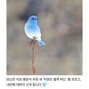 오쪼쪼 나애 작은 12월 ..