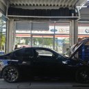 애니카랜드 송강점 이미지