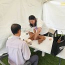 주식회사 미미펫 이미지