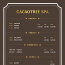 카카오트리(CACAOTREE) 네이버블로그