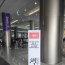 평산유치원 | 강남 코엑스 2025 서울국제도서전 믿을 구석 1탄