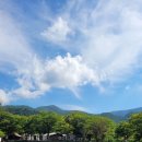 유명산밸리캠핑장 이미지