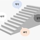 타잔비엔지 | ★★★2차 레벨테스트 후기★★★