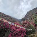 나마스떼 이미지