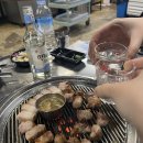 마음의 고향 | 마음의 고향, 제주