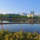 거울공원 이미지