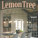 레몬트리 이미지