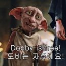 붉은수탉 이미지