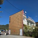 감자밭 | 춘천 카페 감자밭 내돈내산 이용후기