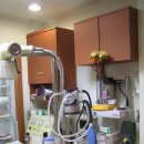 마리동물병원 이미지