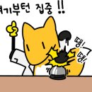 해츠빌 이미지