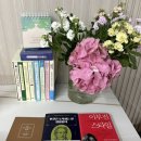 과일야채불티나