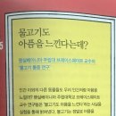 경향서점 | 세상에서 가장 재미있는 61가지 심리실험 인간관계편 후기｜쉽고 재미있는 심리학 책 추천