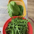 땅고랑오리집 이미지