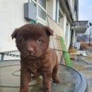 성호농원 이미지