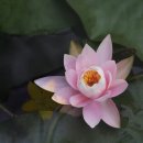 지금;여기서행복할것 이미지