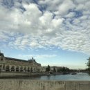 장안꽃시장 이미지