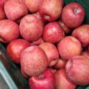 자연이 깃든 농장 | 사노라면 일쟁이 복연 할매와 미운 우리 영감 농장 택배 주문 정보